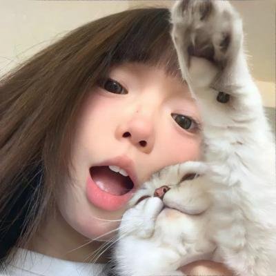追鹰日记